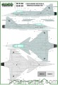 D48158 Czech Gripen Stencils & Insignias generic set