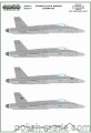 D72176 - Finnish F/A-18C/D Hornets - generic set