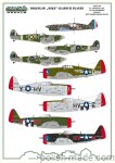 D72182 Boleslaw "Mike" Gladych Planes
