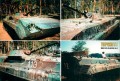 BMP-1