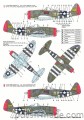 24023 Republic P-47 D Thunderbolt