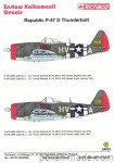 24023 Republic P-47 D Thunderbolt