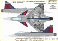 D48244 Czech Gripen 20 Years of Service