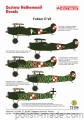 72104 Fokker D VII - Polska 1920-21