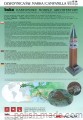 Dzwonnica Św. Marka - Wenecja - 1/300