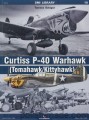 SMI LIBRARY 10 - Curtiss P-40 