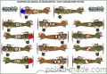 D72100 Albatros DIII (OEF) in Polish Service + Flik 3J Polish pilots planes