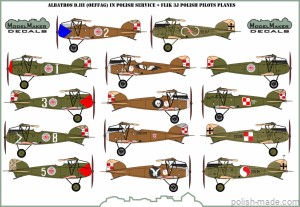 D72100 Albatros DIII (OEF) in Polish Service + Flik 3J Polish pilots planes