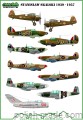 D72057A Stanislaw Skalski planes