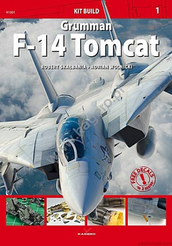 41001 - Grumman F-14 TOMCAT