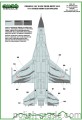 D72061A Polish F-16 NATO Tiger Meet 2015