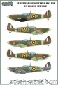 D72074A Spitfire Mk.I/II in polish service